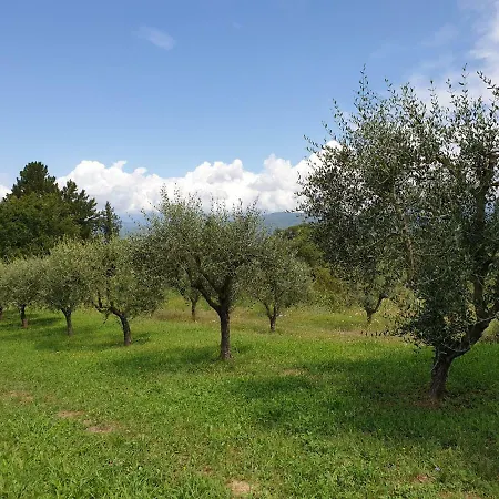 Apartman Casa Lucialda *
